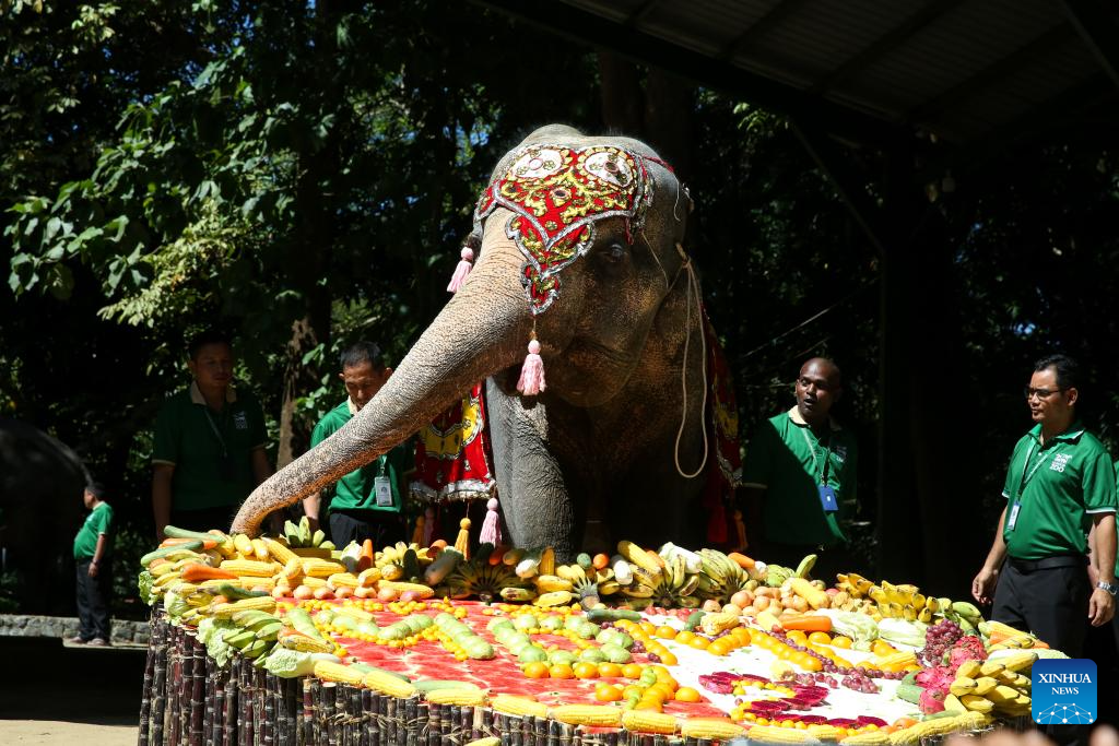 Myanmar's elephant, Mo Mo, celebrates 72nd birthday at zoo in Yangon
