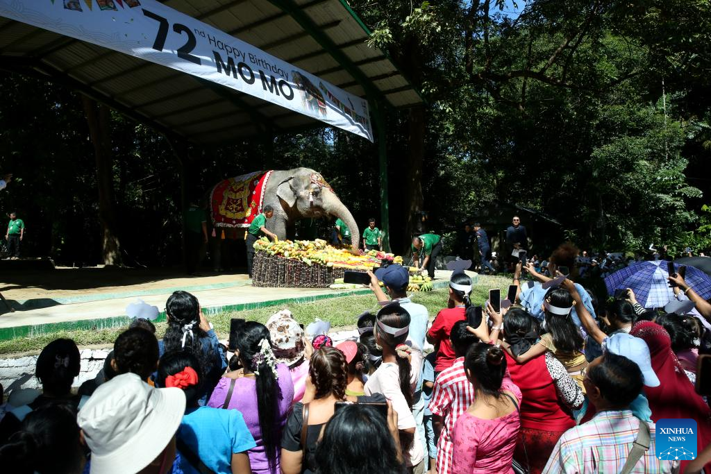 Myanmar's elephant, Mo Mo, celebrates 72nd birthday at zoo in Yangon