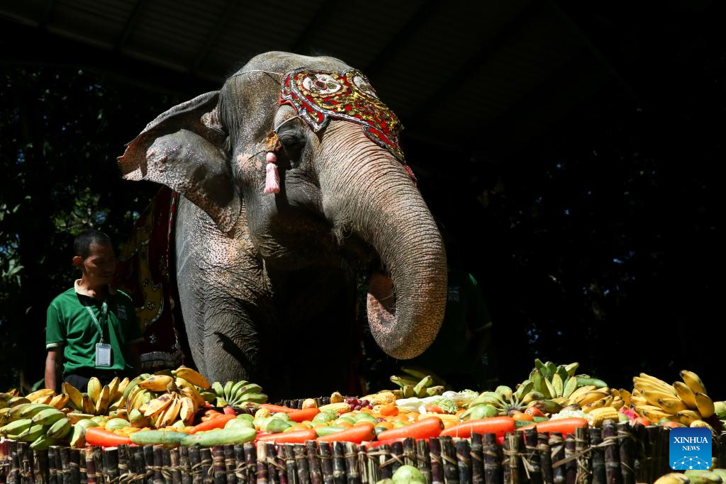 Myanmar's elephant, Mo Mo, celebrates 72nd birthday at zoo in Yangon