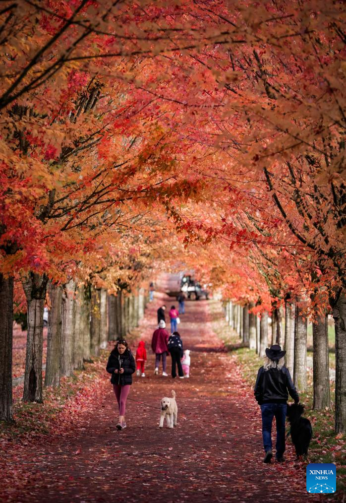 Autumn scenery in Vancouver, Canada