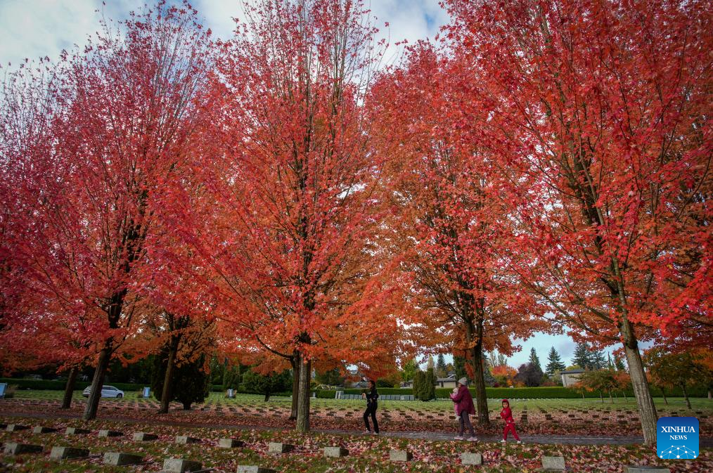 Autumn scenery in Vancouver, Canada