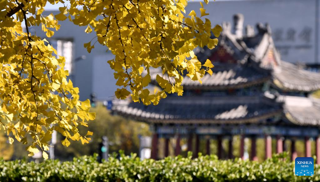 Autumn scenery across China