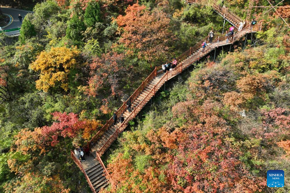 Autumn scenery across China