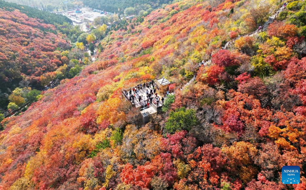 Autumn scenery across China
