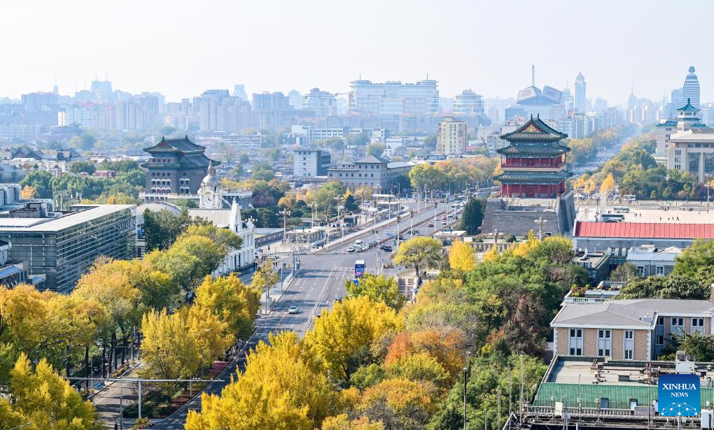 Autumn scenery in Beijing