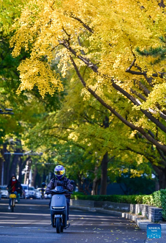 Autumn scenery in Beijing