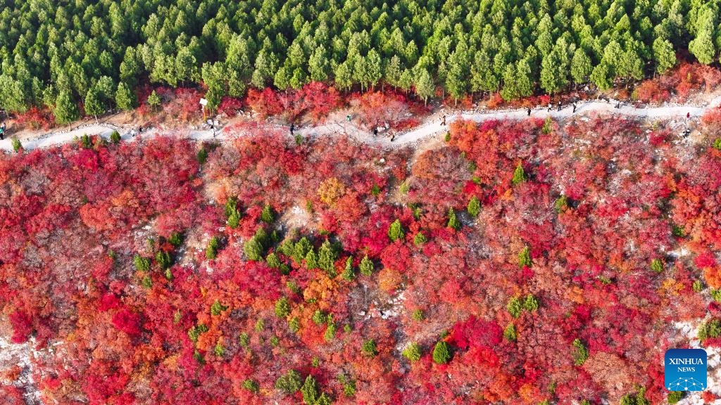 Autumn view of Jinan City, E China's Shandong