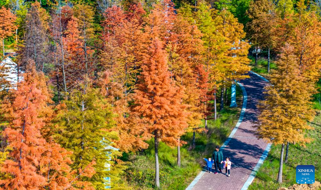 Autumn scenery across China