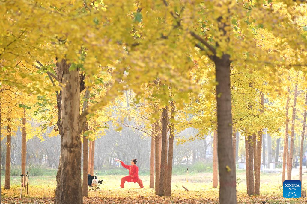 Autumn scenery across China