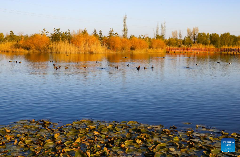Autumn scenery across China