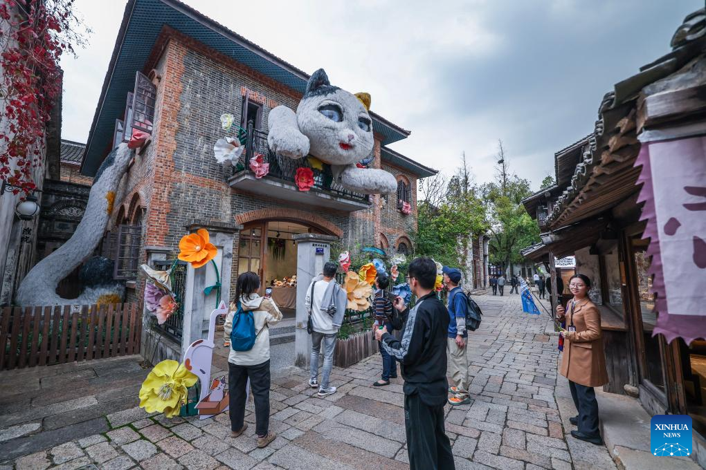 Internet life carnival kicks off in Tongxiang City, China's Zhejiang