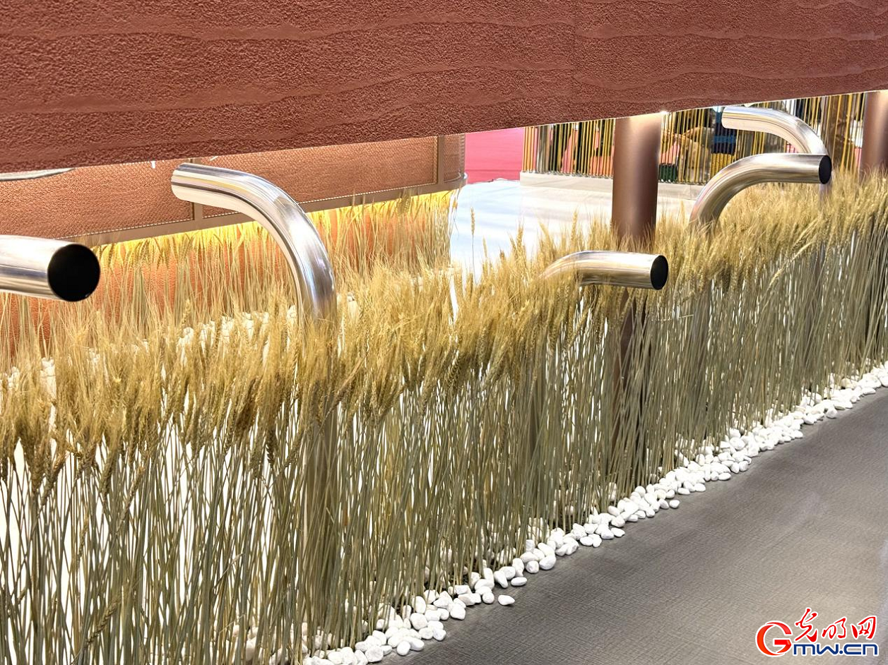 Serbia makes 8th appearance at CIIE, drawing crowds with unique traditional design and cuisine