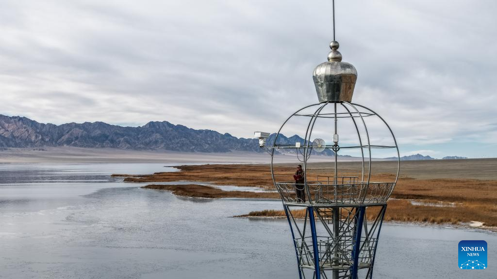 Lakes nurture ecological wetland in Gobi Desert, NW China's Gansu
