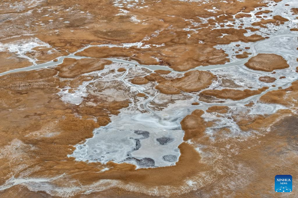 Lakes nurture ecological wetland in Gobi Desert, NW China's Gansu