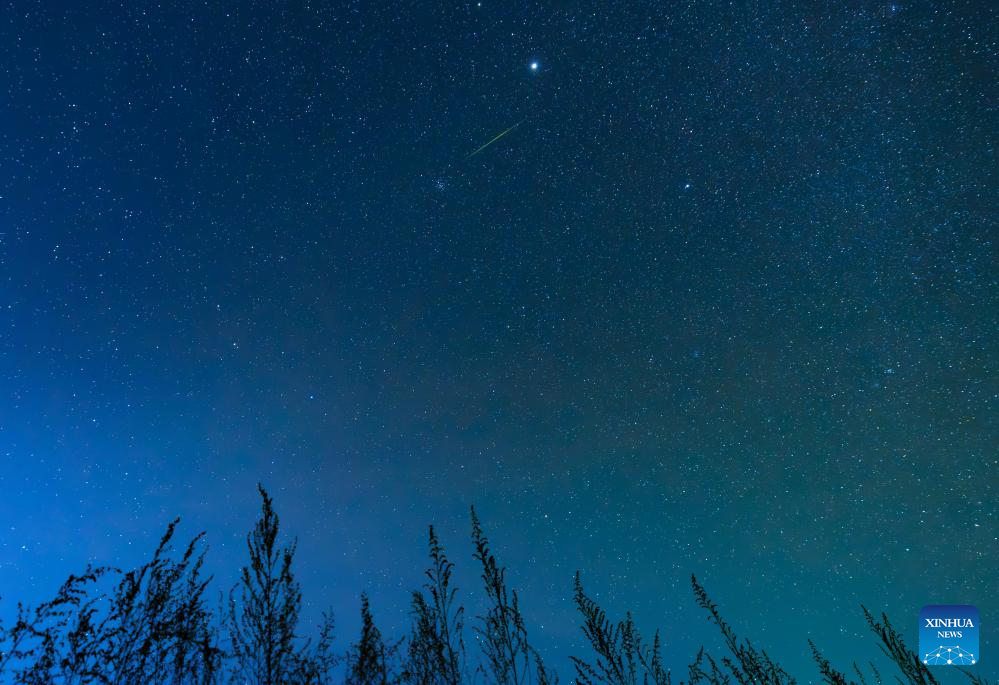 Leonid meteor shower seen in China's Heilongjiang