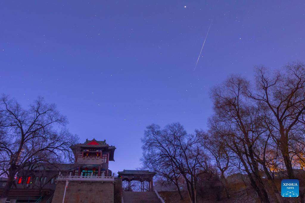 Leonid meteor shower seen in China's Heilongjiang