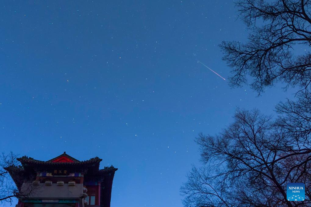 Leonid meteor shower seen in China's Heilongjiang