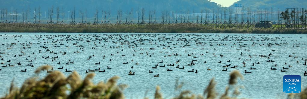 Early winter scenery across China