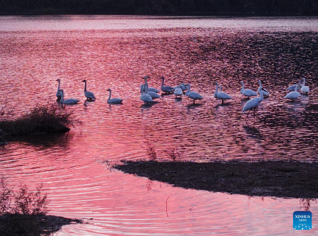 Early winter scenery across China