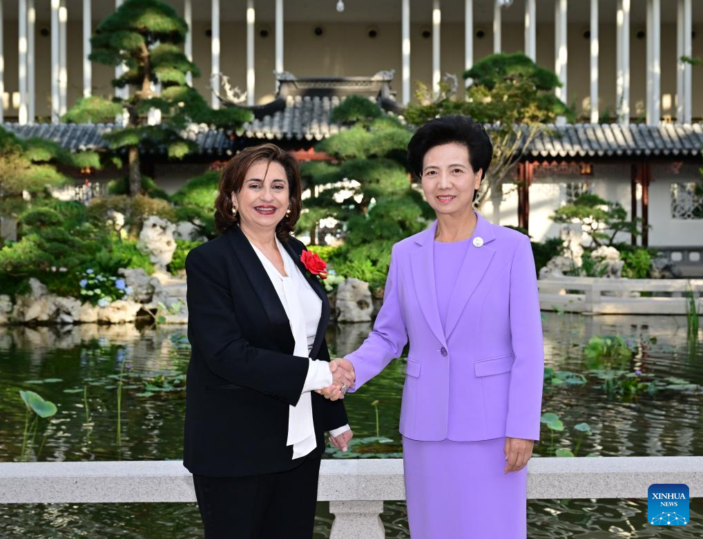 Chinese state councilor meets foreign guests