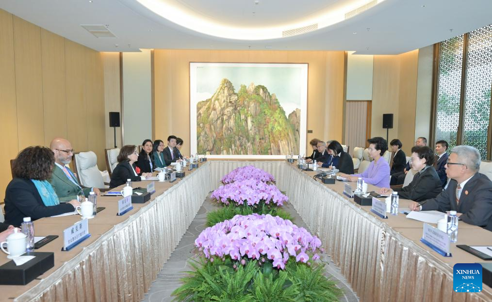 Chinese state councilor meets foreign guests