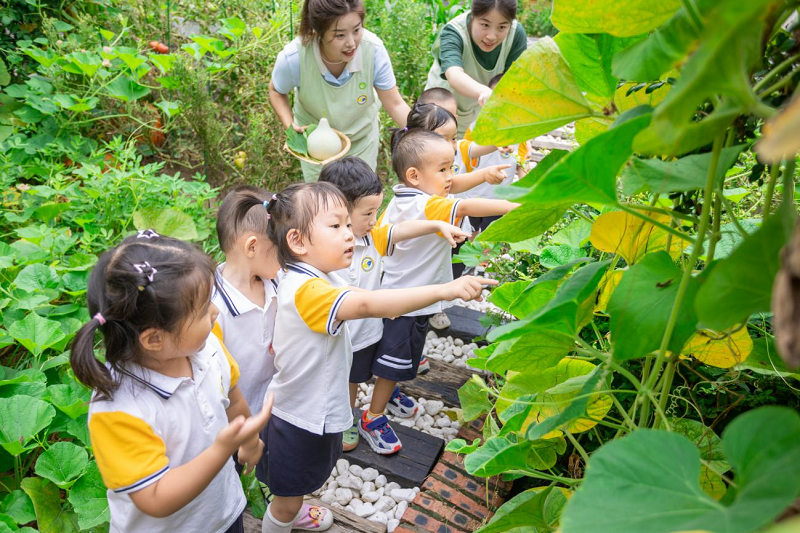 Beijing Women and Children Development Demonstration Base: Shell Educare Kindergarten