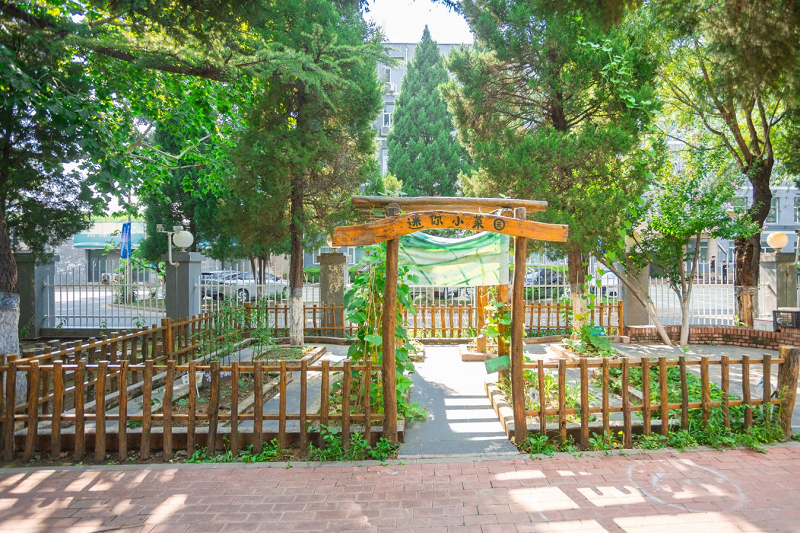 Beijing Women and Children Development Demonstration Base: Shell Educare Kindergarten