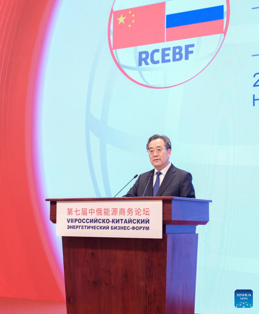 China will deepen energy cooperation with Russia: vice premier