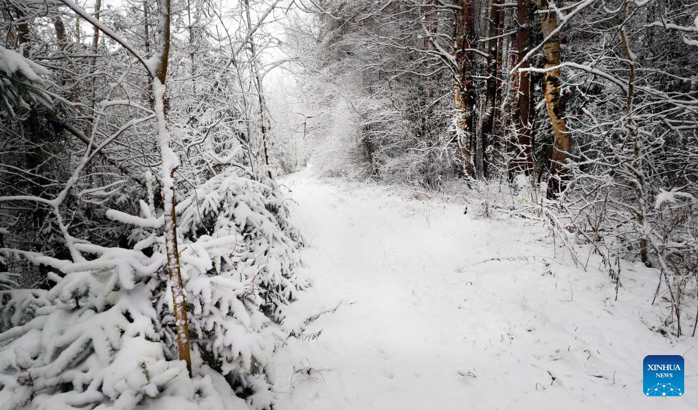 Belarus sees first snowfall in winter