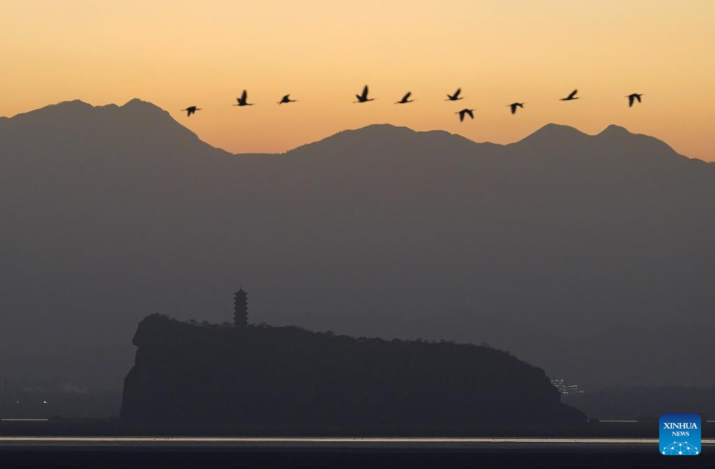 Migrant birds seen at Poyang Lake in Hukou County, China's Jiangxi