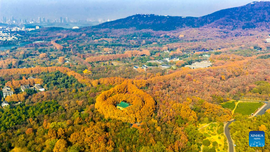 Winter scenery across China