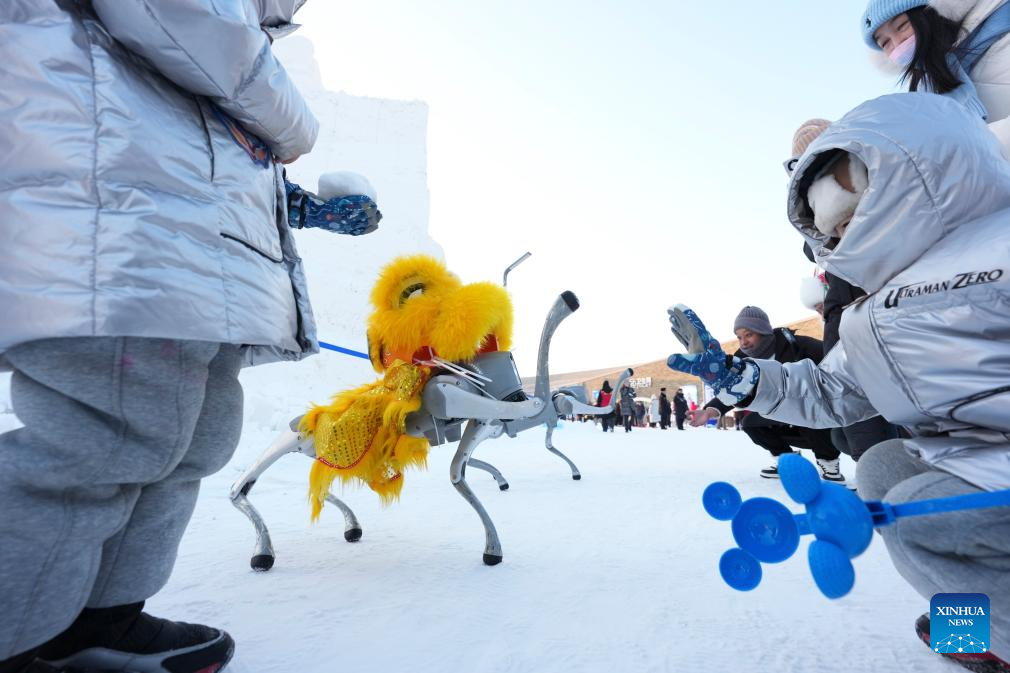 World's largest ice and snow theme park opens, igniting China's winter tourism fever