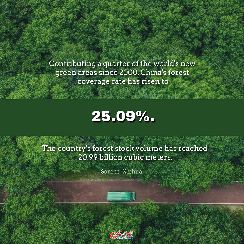 Posters | China advances environmental protection and harmony with nature