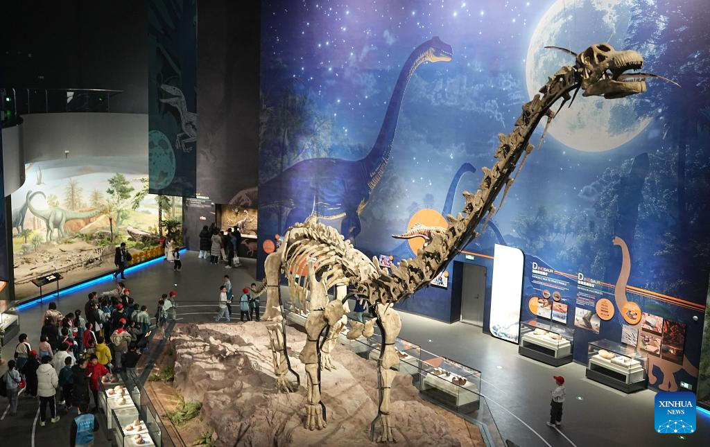 Diverse exhibitions staged across China during New Year holiday