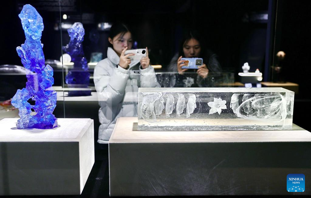 Diverse exhibitions staged across China during New Year holiday