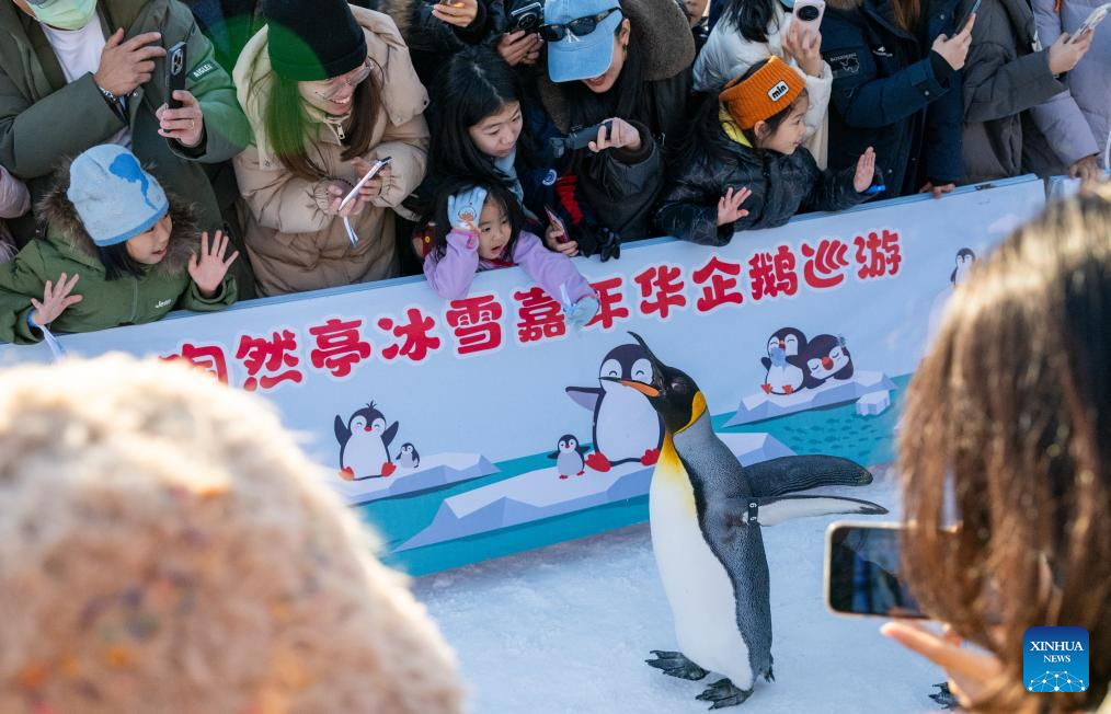 People enjoy New Year holiday across China