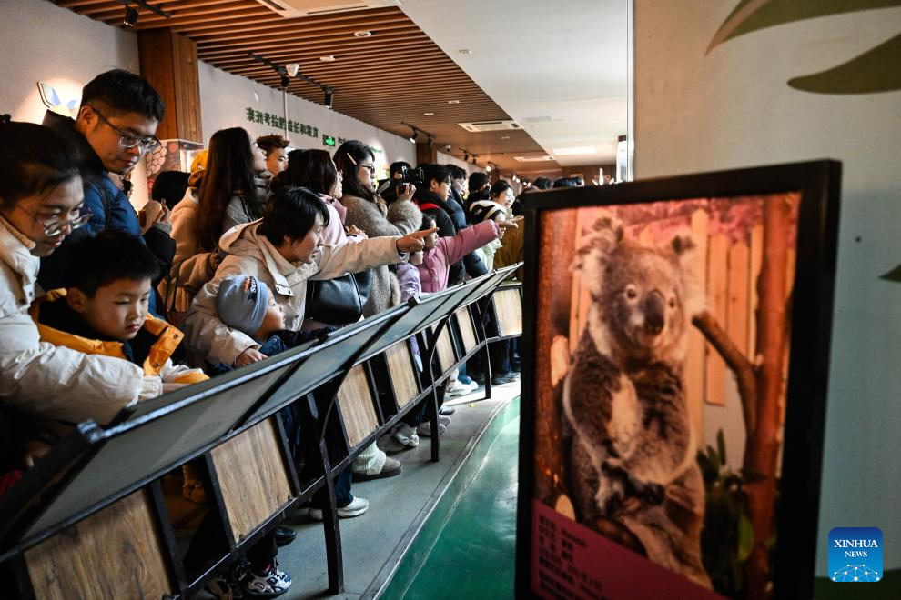 People enjoy New Year holiday across China