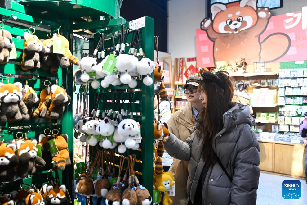People enjoy New Year holiday across China