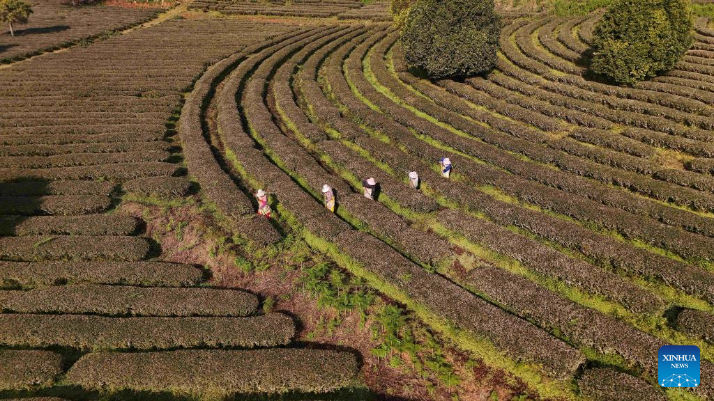 Farmers across China busy with field work on Minor Cold