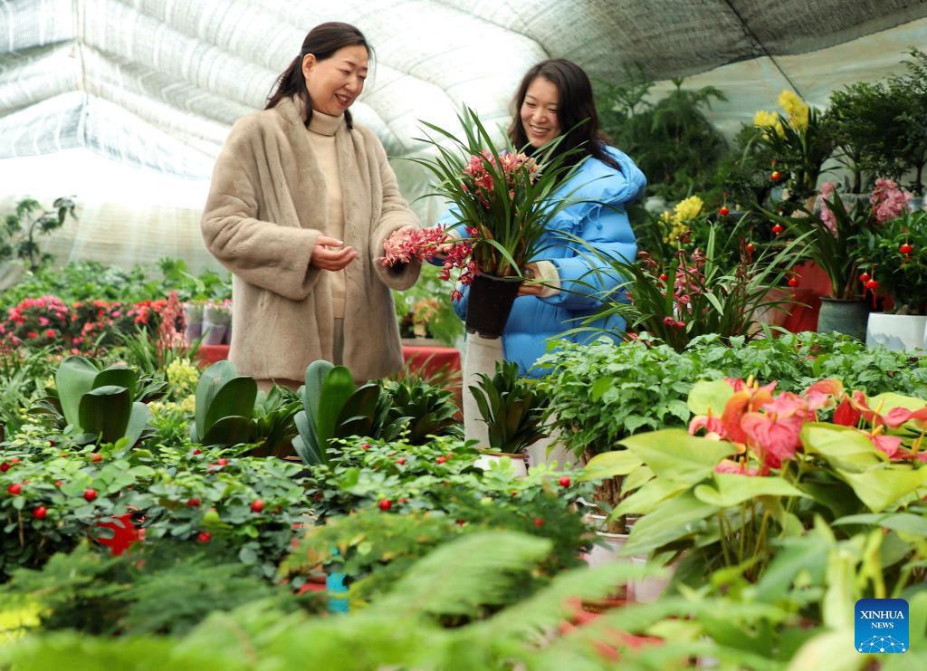 Farmers across China busy with field work on Minor Cold