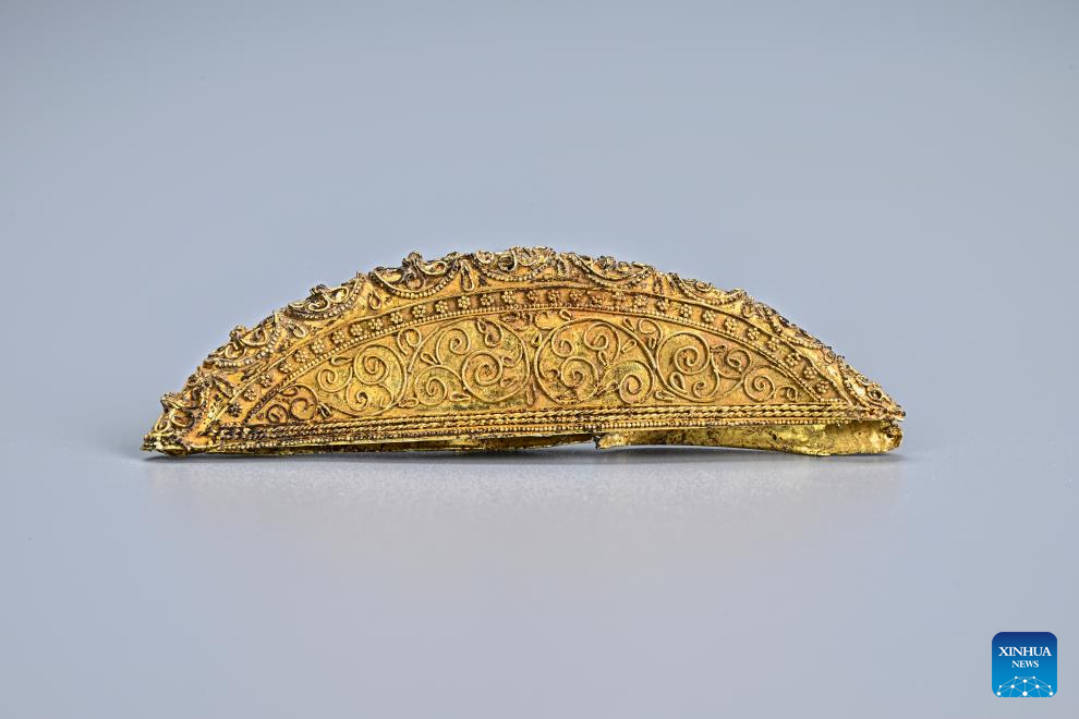 Tang Dynasty tomb with exquisite artifacts unearthed in Xi'an