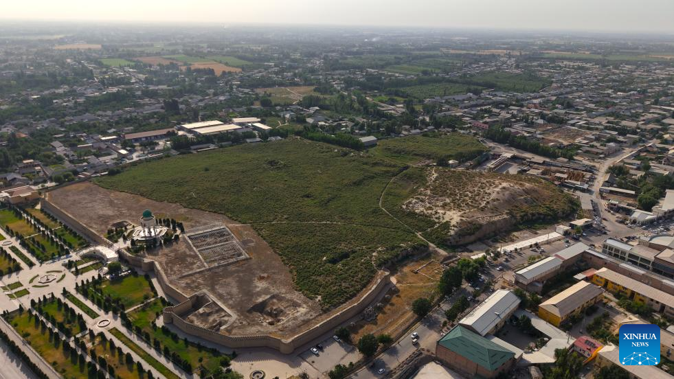 Chinese, Uzbek archaeologists discover ancient city walls in Uzbekistan