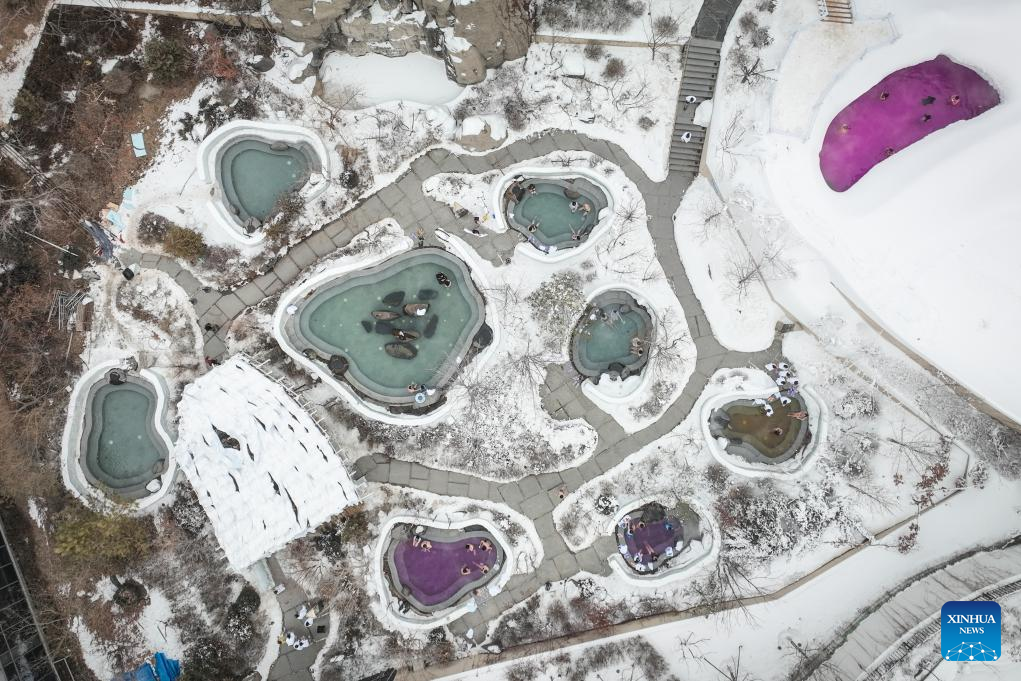 NE China's Shenyang combines ice-and-snow activities with hot springs