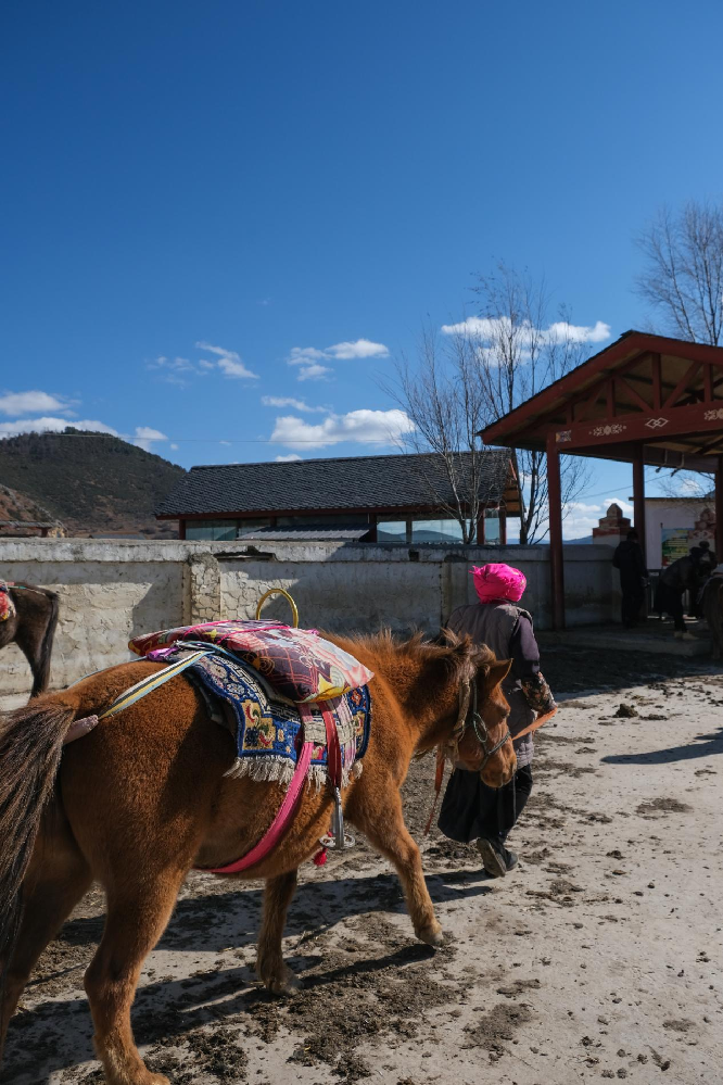 In pics: Winter scenery of Napahai in SW China's Yunnan