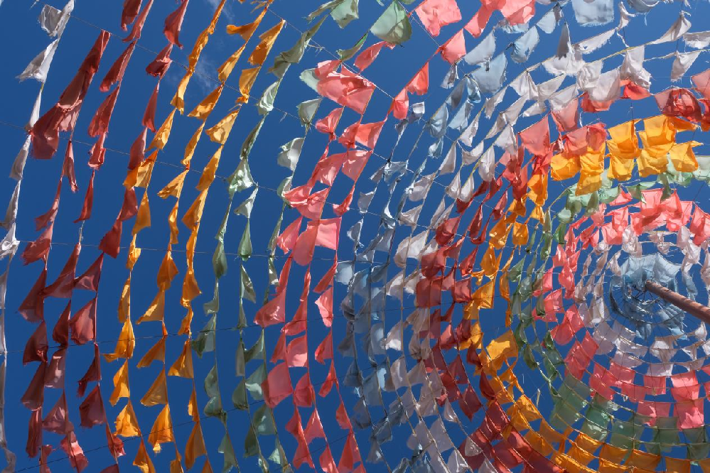 In pics: Winter scenery of Napahai in SW China's Yunnan