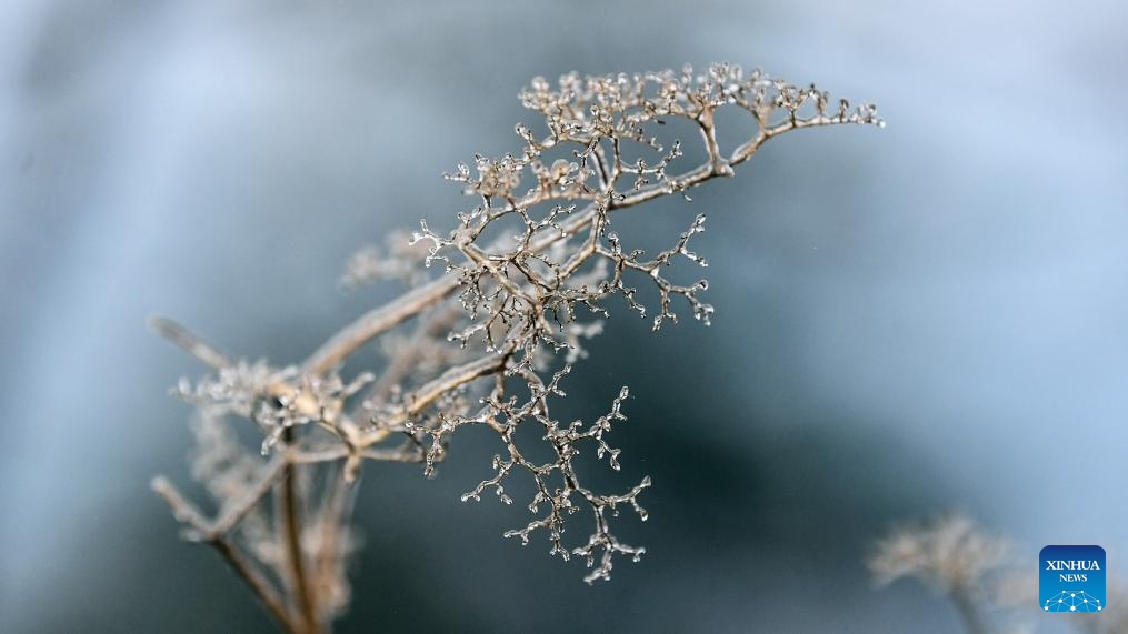Icicles attract visitors in China's Guangxi