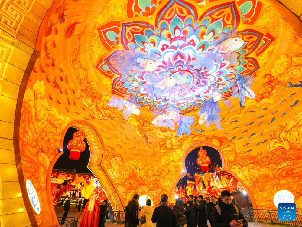 In pics: 32nd Zigong Int'l Dinosaur Lantern Show in China's Sichuan