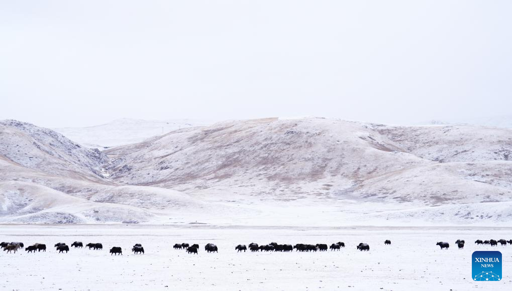 Winter scenery in Zadoi County, NW China's Qinghai