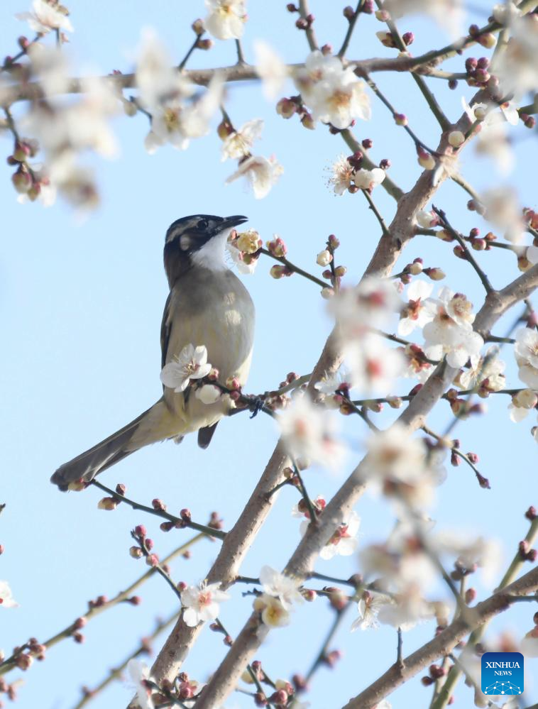 Picturesque scenery across China