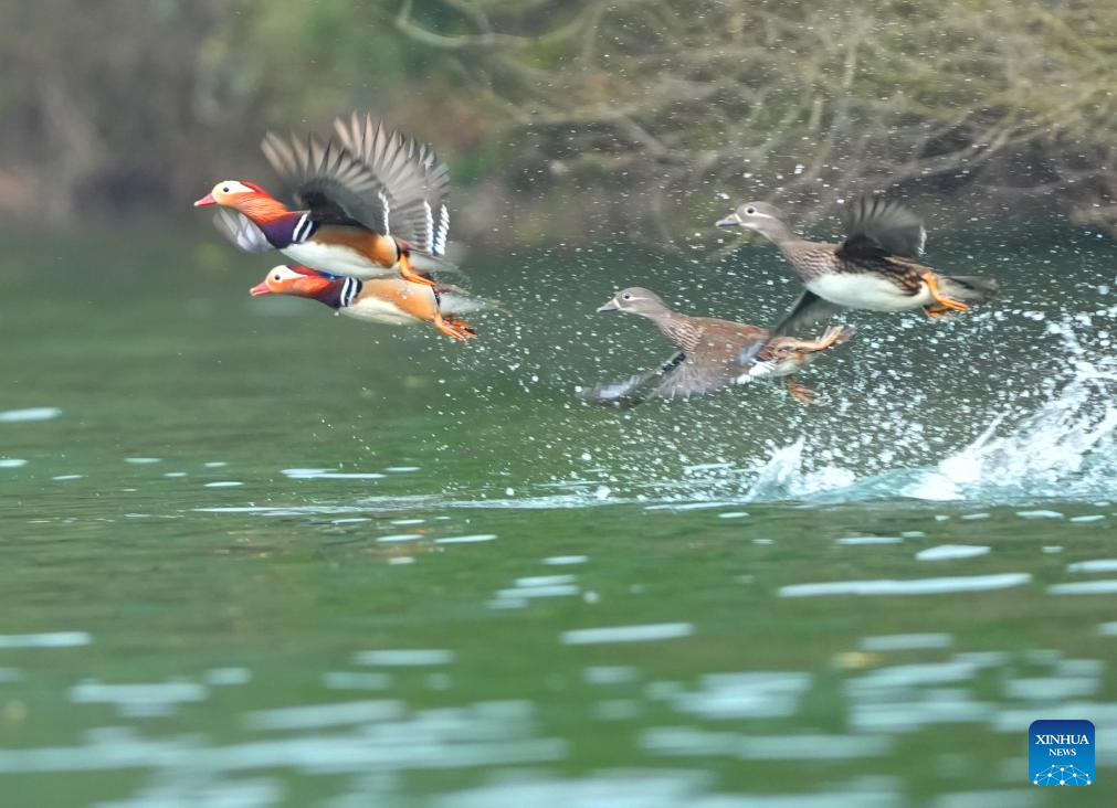 Picturesque scenery across China
